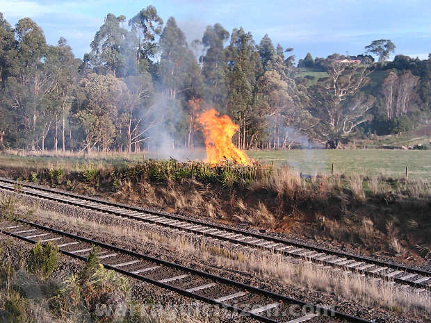 fire warragul drouin railway tracks warragul citizen by william kulich 3